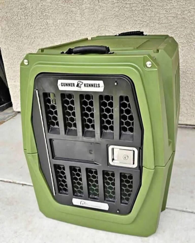 large gunner kennel