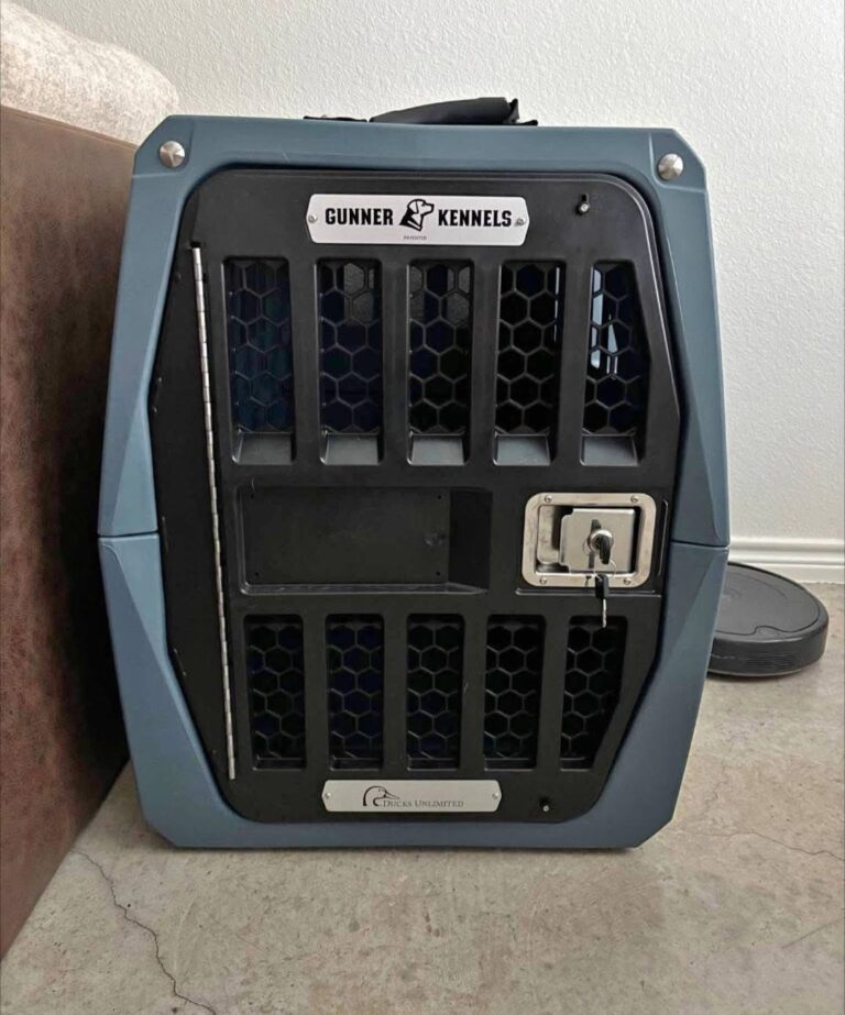 intermediate gunner kennel