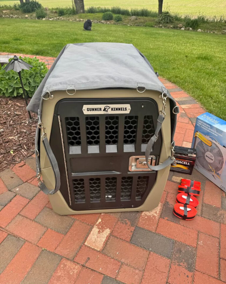 intermediate gunner kennel