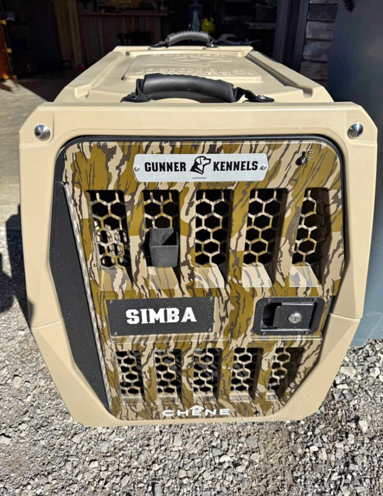 intermediate gunner kennel