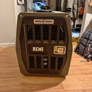 intermediate gunner kennel