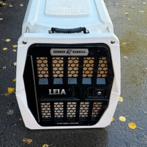 intermediate gunner kennel