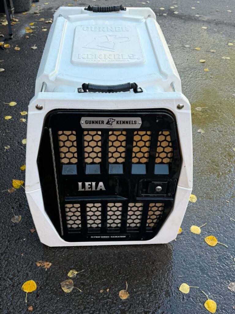 intermediate gunner kennel