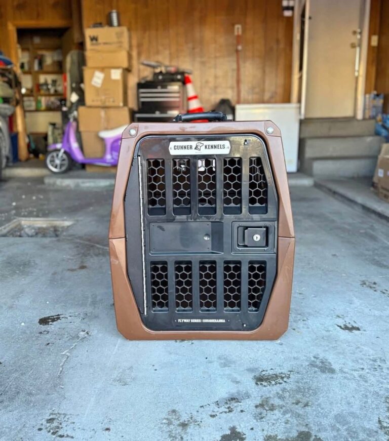 intermediate gunner kennel