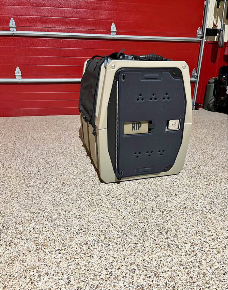 intermediate gunner kennel