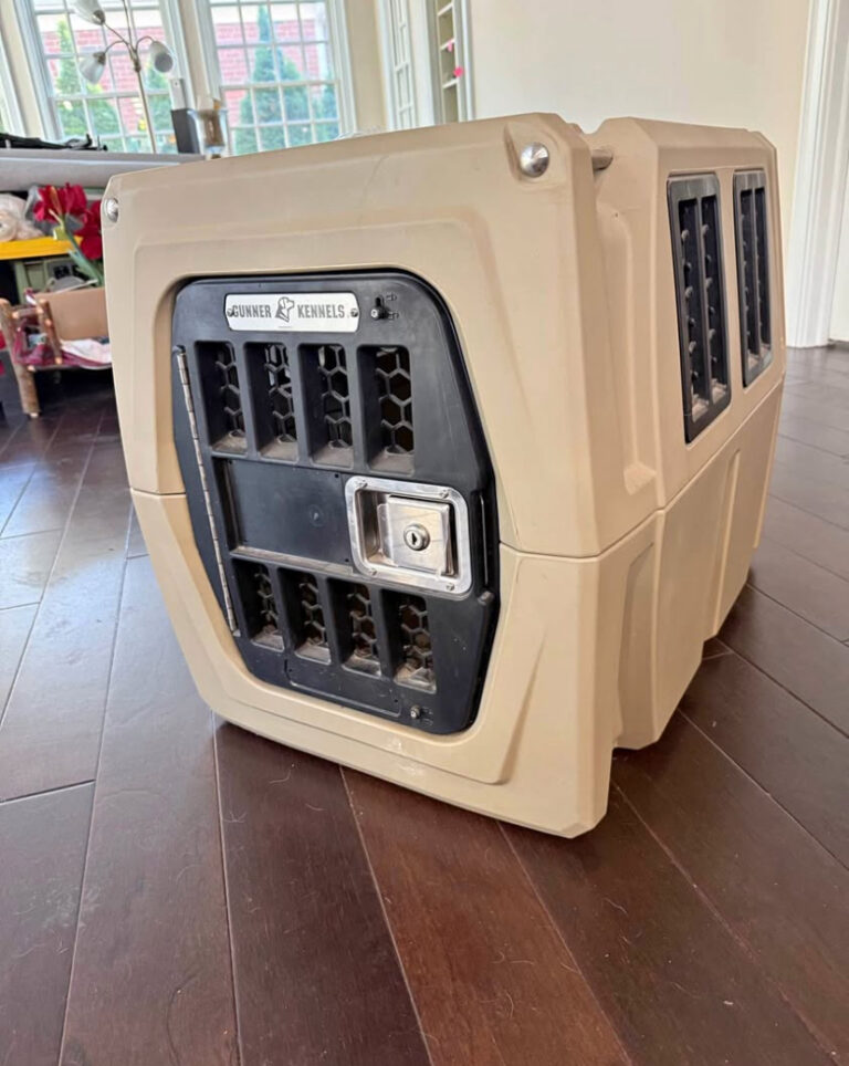 medium gunner kennel